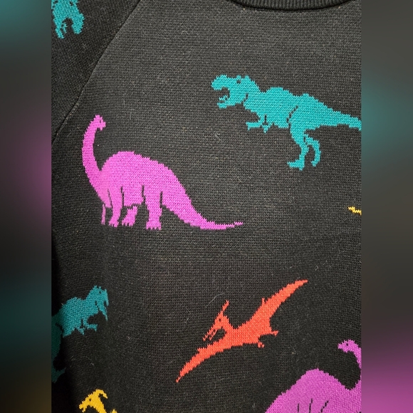 Dangerfield Dinosaur Sweater - Picture 3 of 5